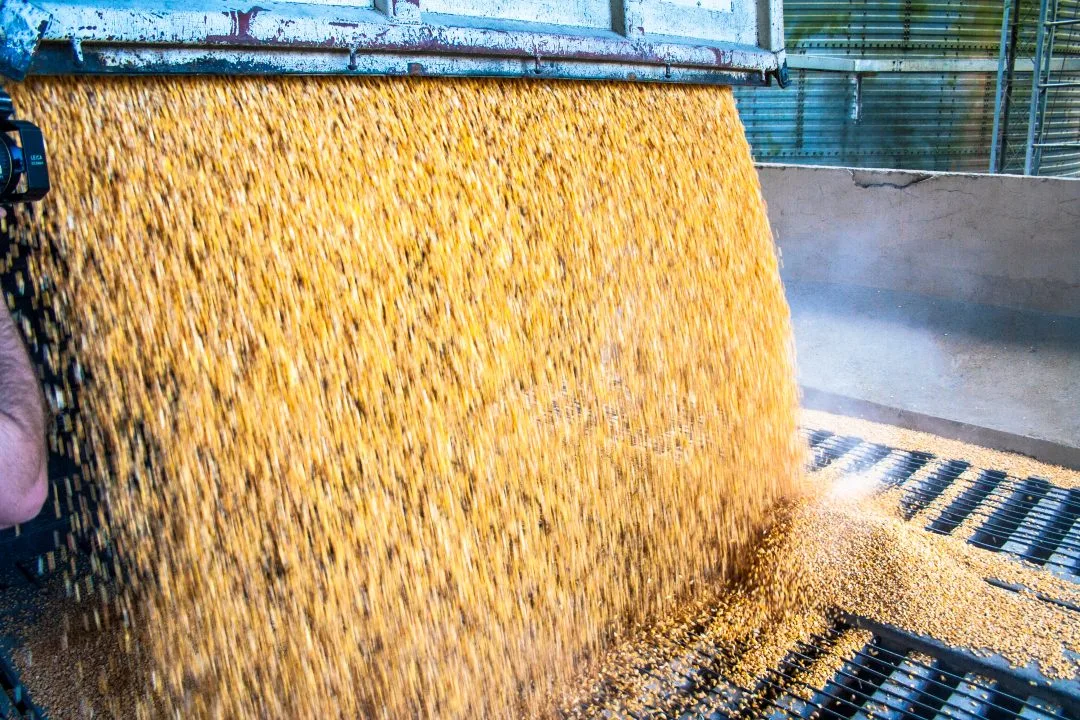 Sell-an-Animal-Food-Production-Company