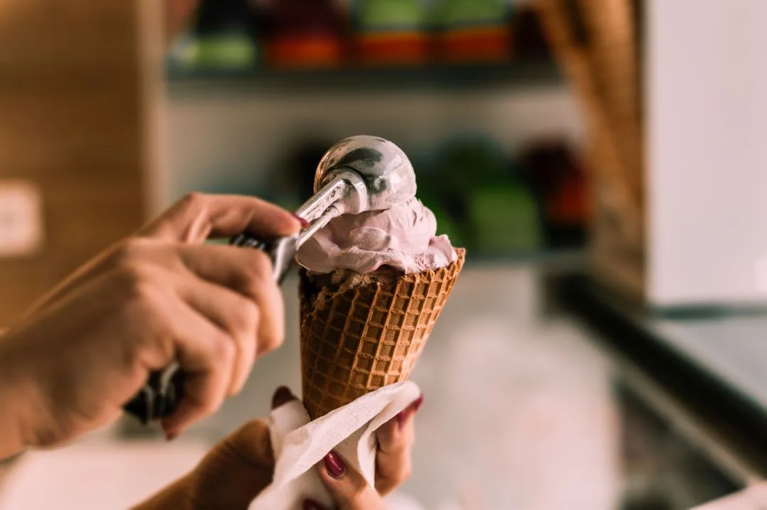 Sell a Bruster’s Real Ice Cream Franchise