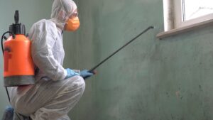 How to Sell a Remediation Business